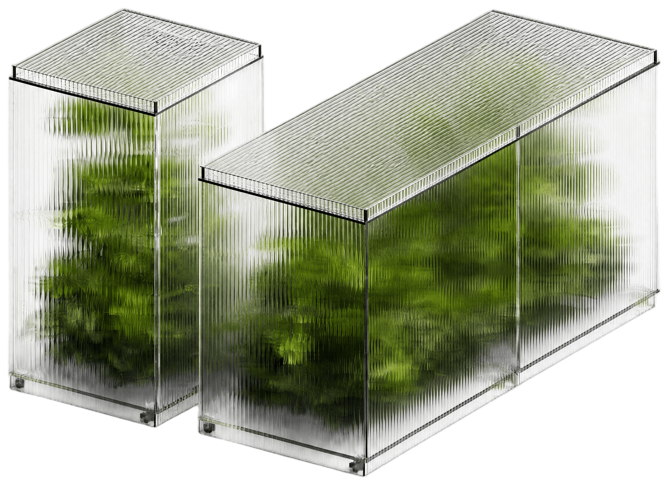 Transparent modular vivarium architecture with planted interior